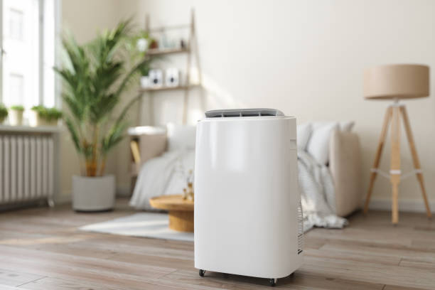 Best VRF (Variable Refrigerant Flow) Systems in Flushing, MI
